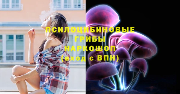 шишки Каменка
