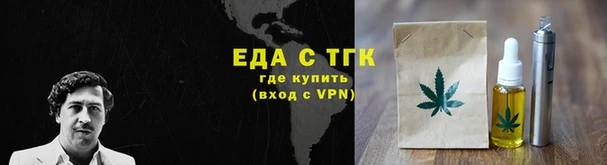 шишки Каменка