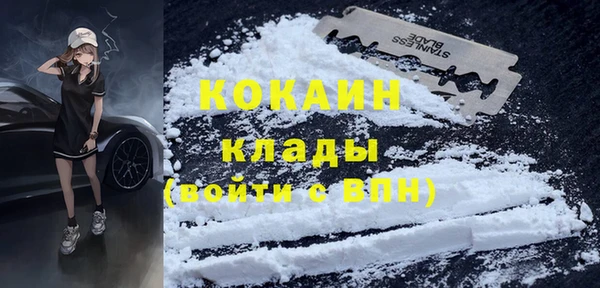 шишки Каменка