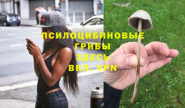 шишки Каменка