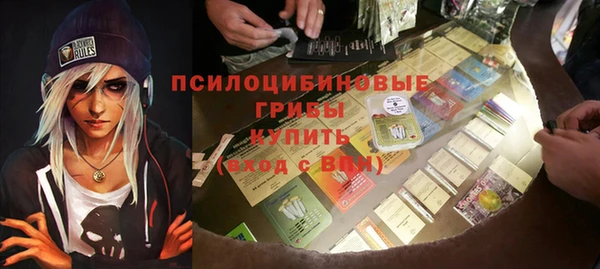 ешки Каменногорск