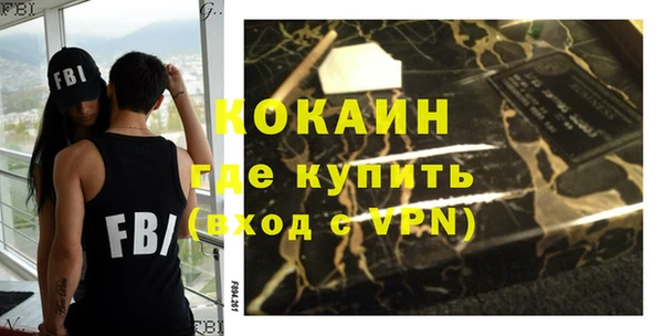 шишки Каменка