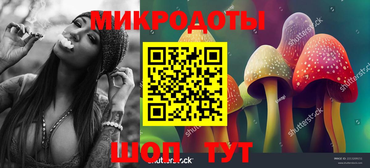 Псилоцибиновые грибы MAGIC MUSHROOMS  Вход с VPN  Реж 