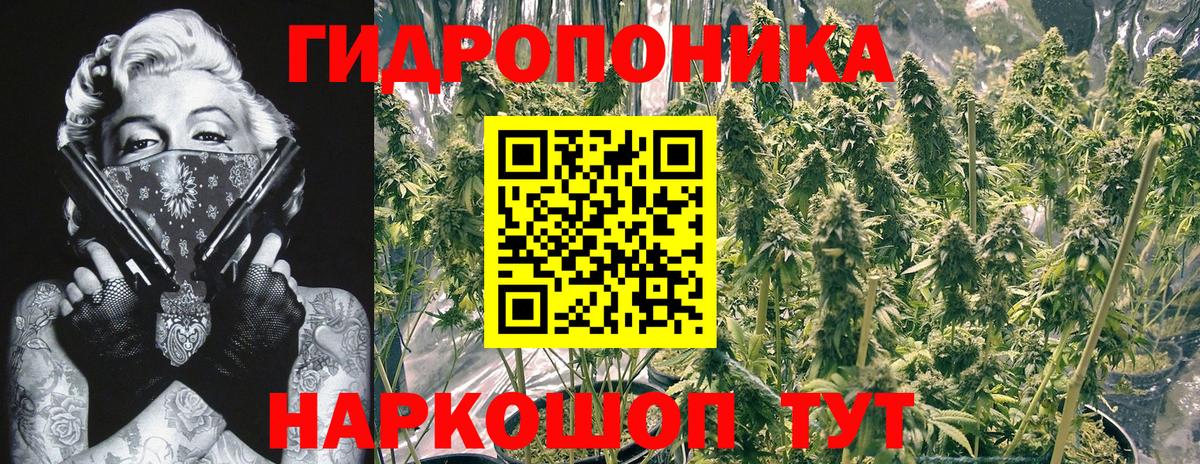 Бошки марихуана ГИДРОПОН Реж